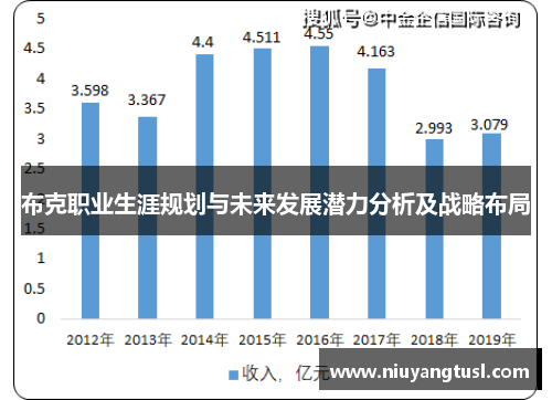 布克职业生涯规划与未来发展潜力分析及战略布局