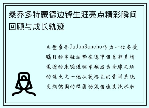 桑乔多特蒙德边锋生涯亮点精彩瞬间回顾与成长轨迹